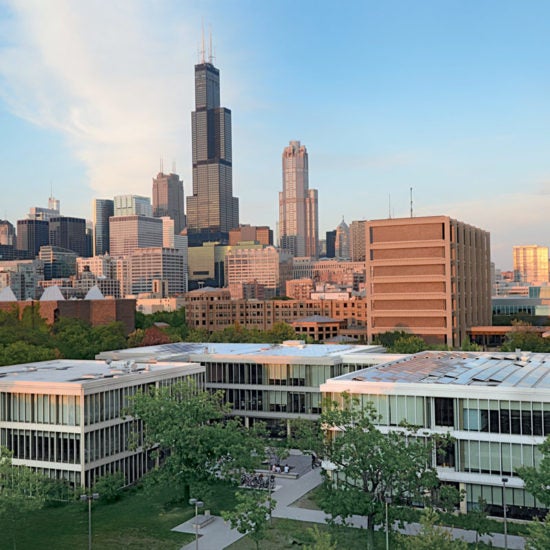 UIC Business Douglass Hall building with skyline in the background